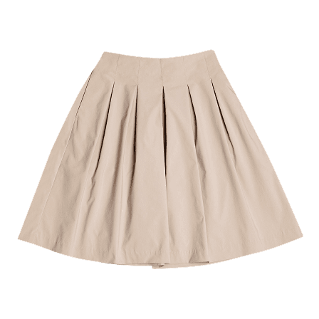 Skirt Image